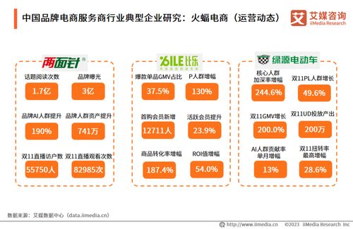 艾媒咨詢2023年中國(guó)品牌電商服務(wù)商行業(yè)研究報(bào)告解析