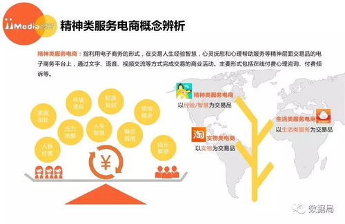 2017上半年中國精神類服務電商市場研究報告 信息咨詢服務引領新風尚