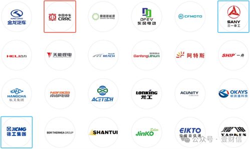思客琦問詢回復引質疑 高管履歷披露存疑，信息咨詢服務成焦點